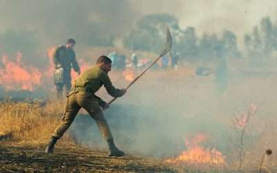 Supporting an Aussie Firefighter to Train Israelis in the Incendiary Fire Balloon Crisis